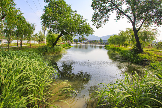 后塘河