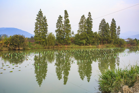 宁波鄞州涵玉村风光