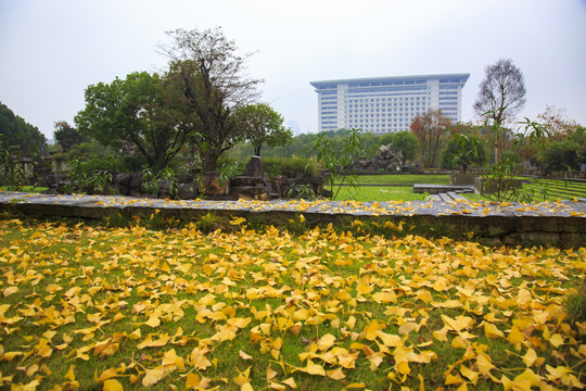 宁波鄞州华茂堂美术馆外景