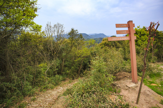 鄞江镇金陆村清修湖古道