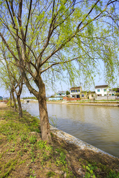 宁波鄞州咸祥镇大湖契河美景