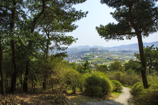 宁波鄞州咸祥镇金山公园景色