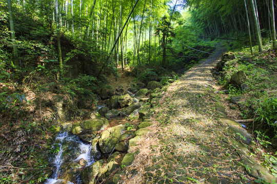 张家岭古道