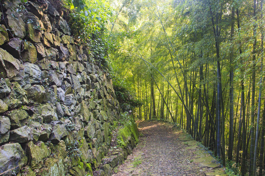 月宫山古道