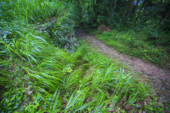 松石岭古道