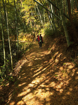 松石岭古道