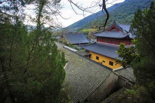 曹洞宗祖庭