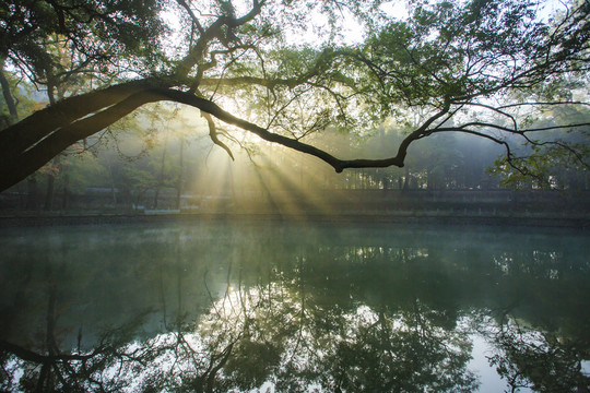 天童寺放生池