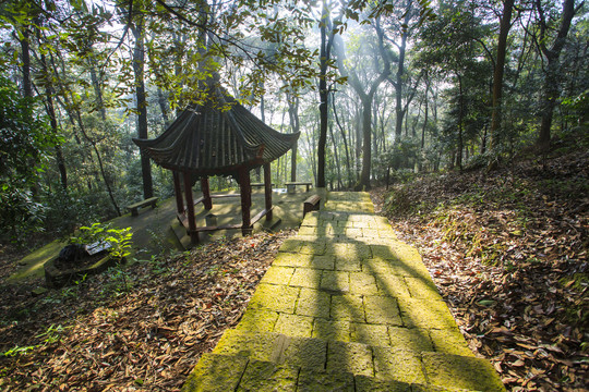 天童寺