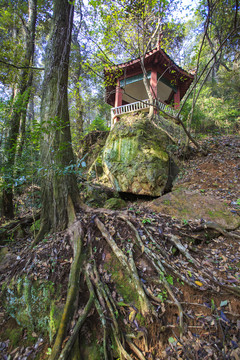 天童寺