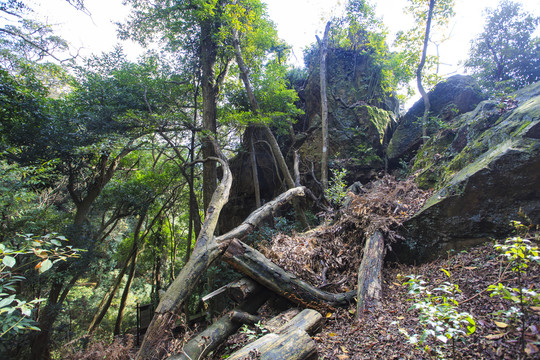 天童寺