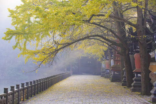 天童寺