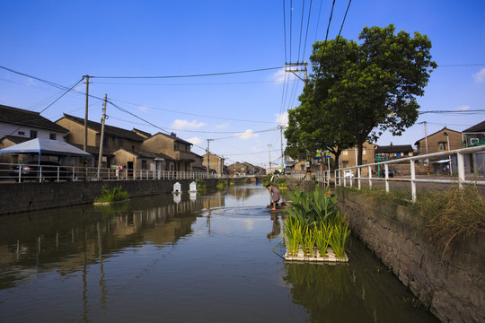 后鄮村河道