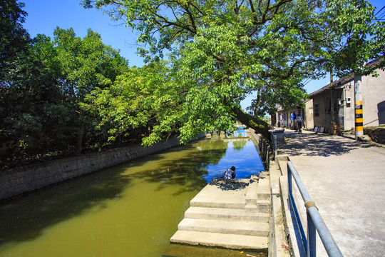 黎山后村