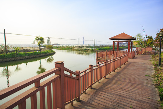 黎山后村河道