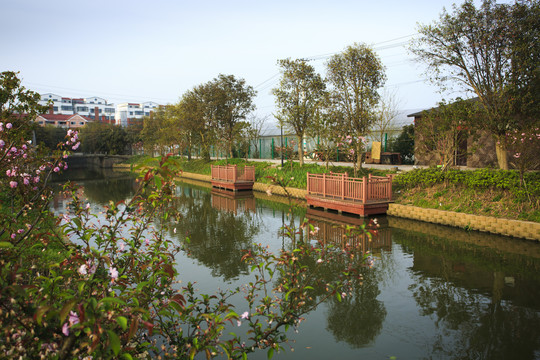 黎山后村河道