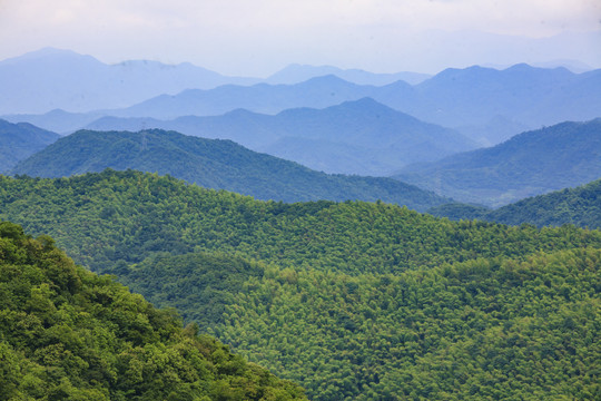 横溪镇茶山