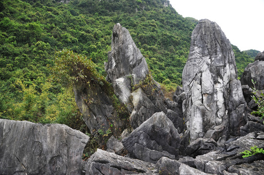 广西柳州大龙潭风景区