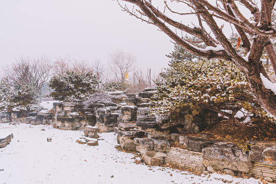 公园园林景观雪景