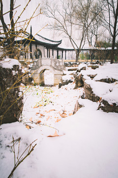 公园园林景观雪景