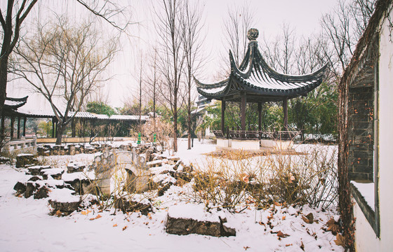 公园园林景观雪景