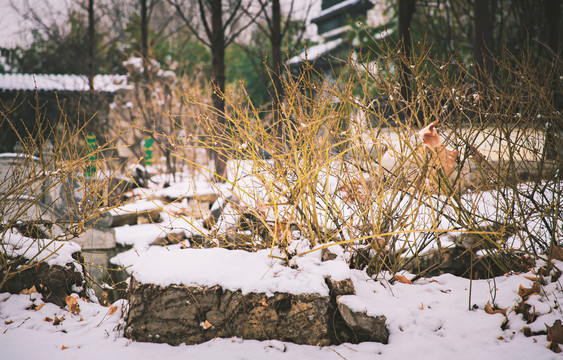 公园园林景观雪景