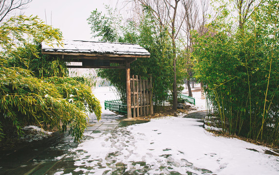 雪地竹林和木门