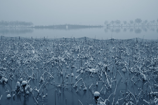 西湖雪景