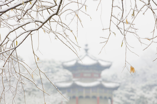 北京颐和园冬日雪景