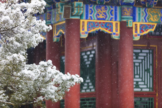 北京颐和园佛香阁景区冬日雪景