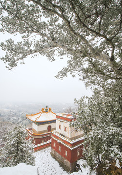 北京颐和园四大部洲景区冬日雪景