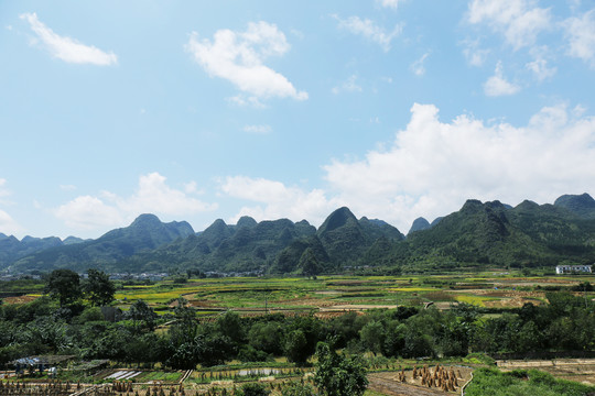 万峰林