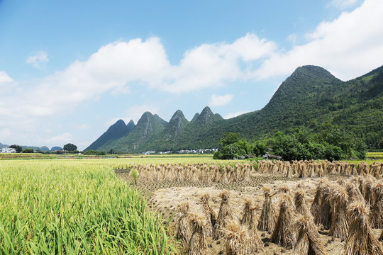 万峰林