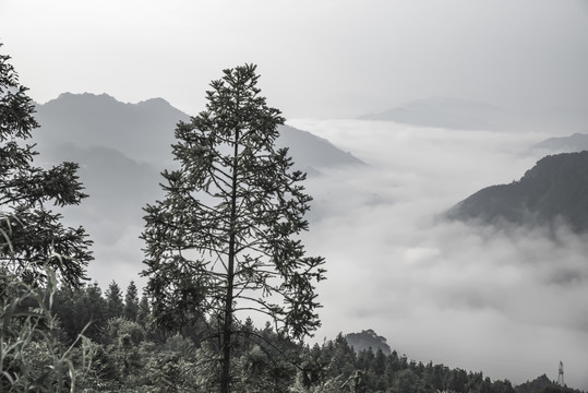 意境山水