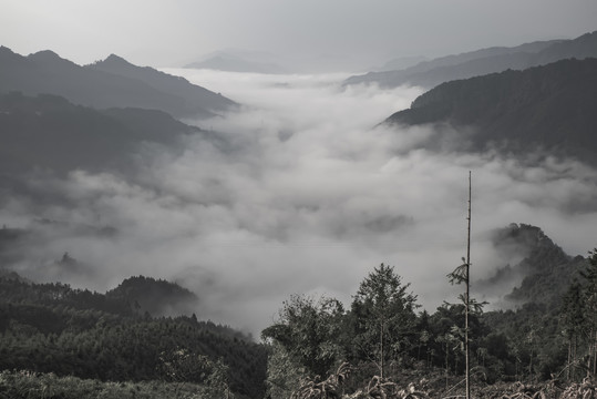 意境山水