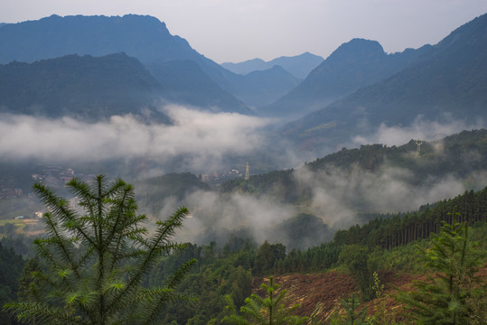 大山云雾