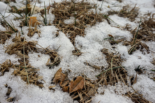 冰雪二