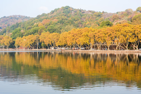 杭州西湖山水秋景