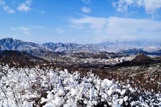 兴隆雪景