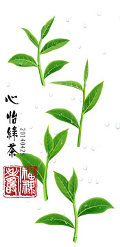 綠茶插畫