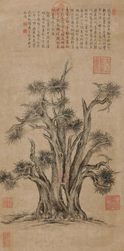 乾隆皇帝御筆漢柏圖
