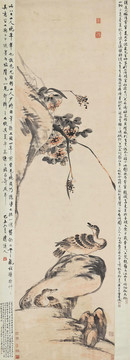 朱耷清八大山人芙蓉蘆雁圖