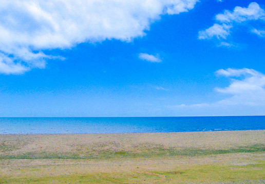 青海湖油菜花风光