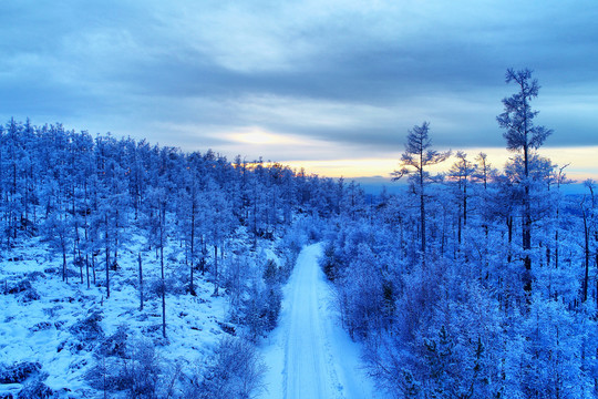 林海雪原树林山路