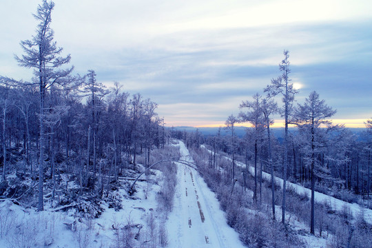 林海雪原树林山路