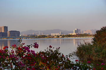 厦门杏林湾风景