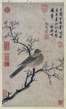 沈周 鳩聲喚雨圖