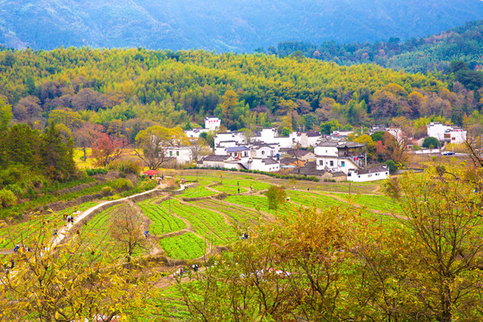 塔川秋景