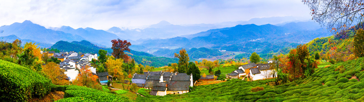 茶园山村