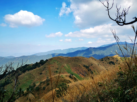 高山秋色